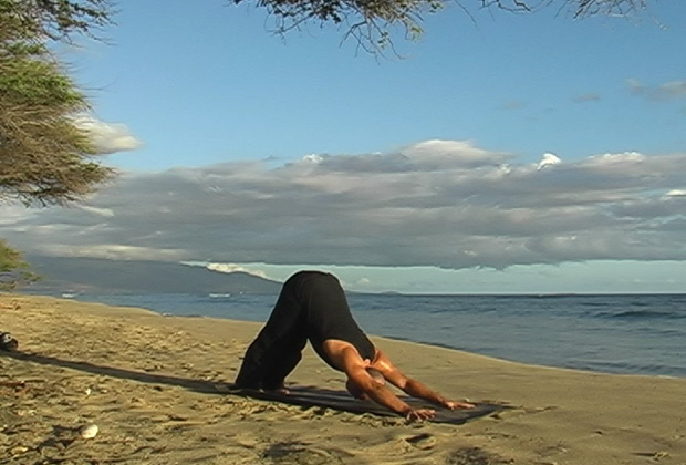 learn vinyasa yoga