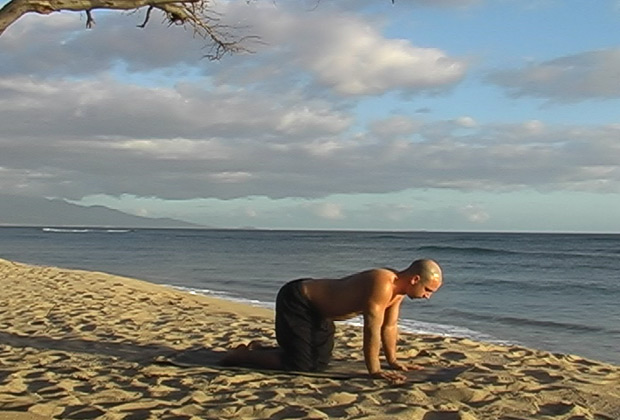 yoga postures explained