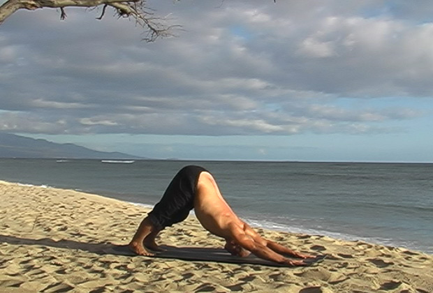 surya namaskar