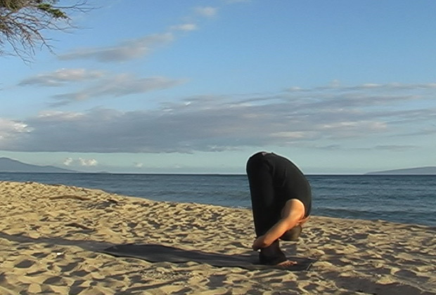 yoga exercise 