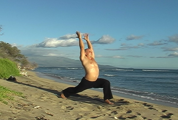 vinyasa yoga learn the art