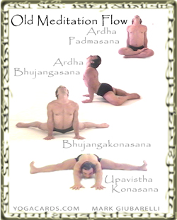 vinyasa yoga