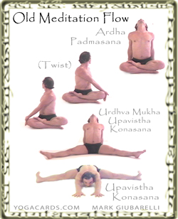 vinyasa yoga