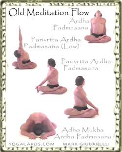 vinyasa yoga