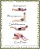 vinyasa yoga