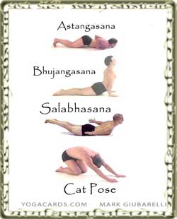 vinyasa yoga