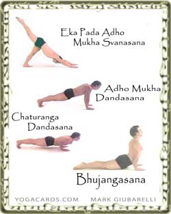 vinyasa yoga