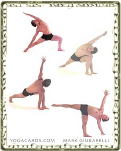 vinyasa ht yoga Yoga Vinyasa yoga poses vinyasa poses  Sequences