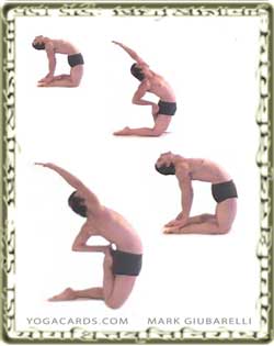 vinyasa yoga