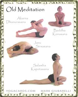 vinyasa yoga