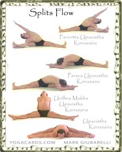 vinyasa yoga