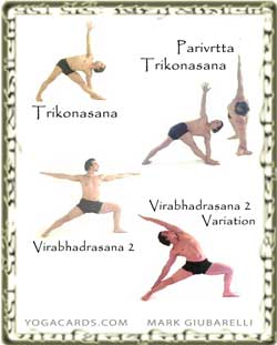 vinyasa yoga