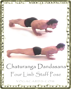 Chaturangasana four limb pose