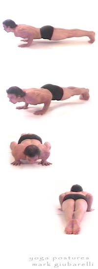 Eka Pada Chaturanga Dandasana / One Legged Four Limbed Staff Pose