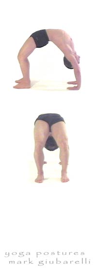  Urdhva Dhanurasana Upward Bow