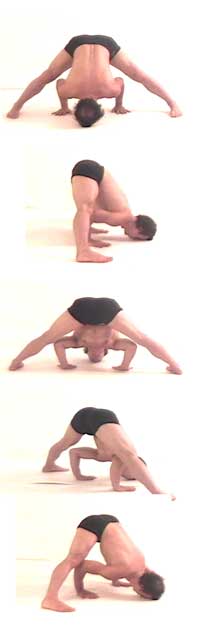 Prasarita-padottanasana