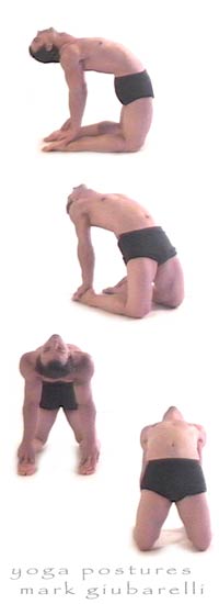 janu-sirsasana