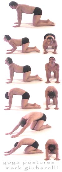 good back Cat yoga opse back shows good and Cat poses pose for relief Cow for Flow back