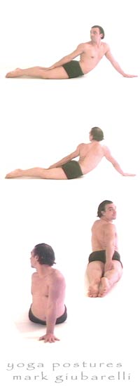  revolved cobra yoga pose bhujangasana