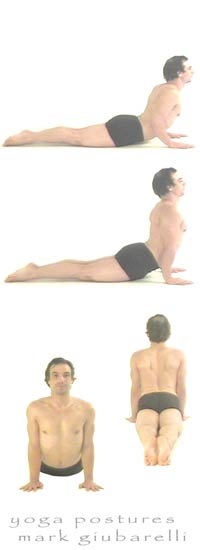 cobra pose bhujangasana