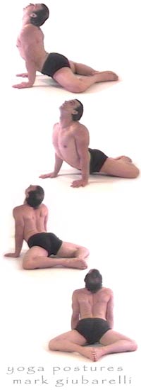 cobra pose variations bhujangasana