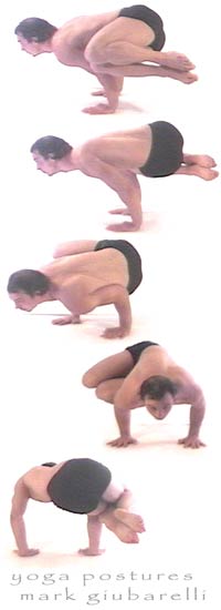 bakasana crane