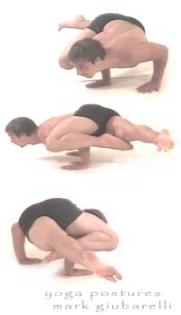 crane pose bakasana