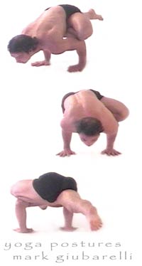 galavasana