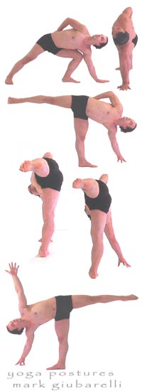 half-moon pose ardha chandrasana