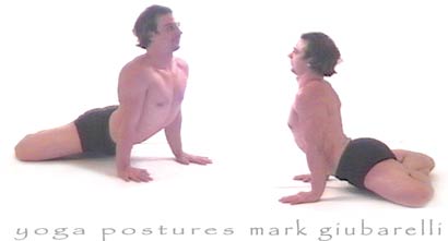 padmasana variations