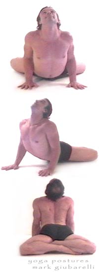 cobra bhujangasana in padmasana