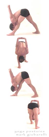 trikona triangle pose