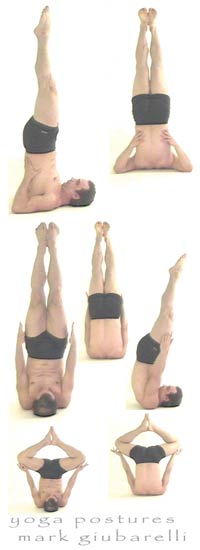 shoulderstand-sarvangasana