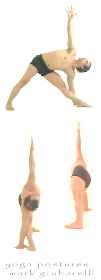 trikona triangle pose