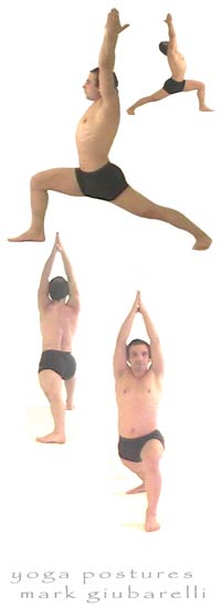 warrior 1 virabhadrasana