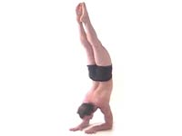 Pincha Mayurasana