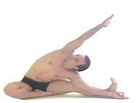 Yoga Posture Parivrtta Janu Sirsasana