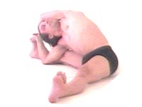 Yoga Posture Parivrtta Janu Sirsasana