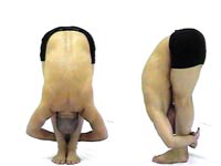 asana utanasana