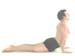  Cobra pose Bhujangasana