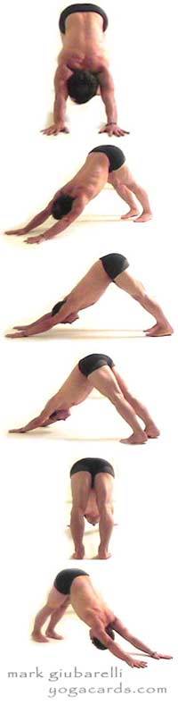 basic yoga pose downward dog