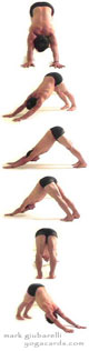 basic yoga pose downward dog