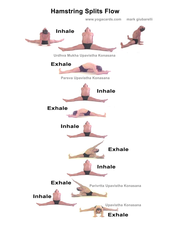 Pics Of Yoga Poses. Print yoga fitness flow