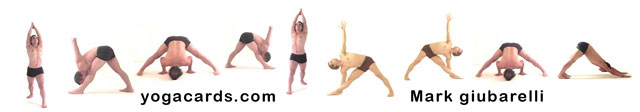 yoga fitness example poses