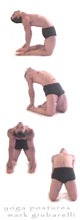 see yoga poses