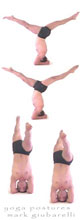 asana headstand