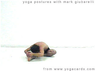 janu srisasana