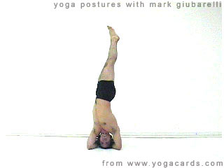 yoga pictures