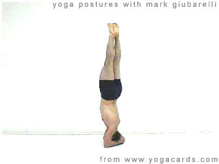 yoga pictures