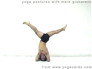 sirsasana - headstand